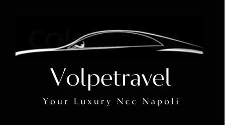 Logo-VolpeTravel 2
